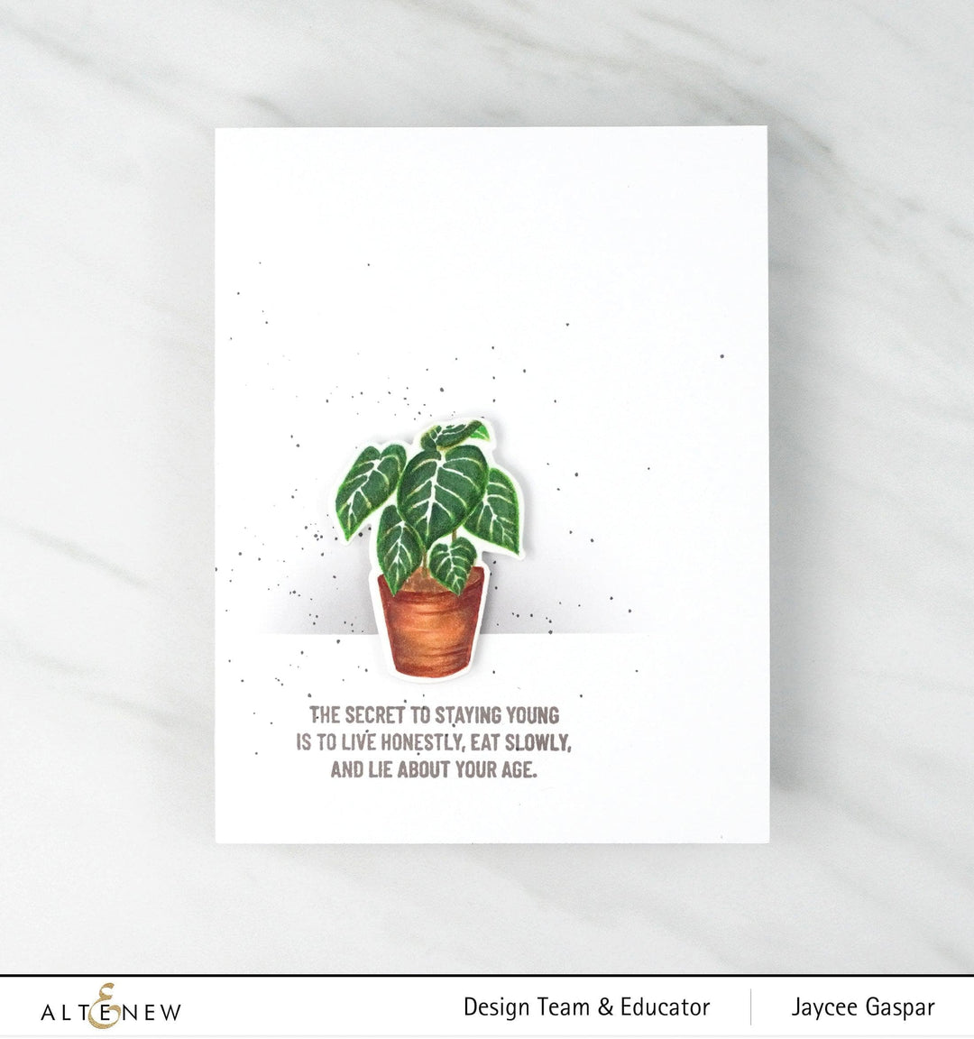 Part A-Glitz Art Craft Co.,LTD Dies Adorable Anthurium Die Set