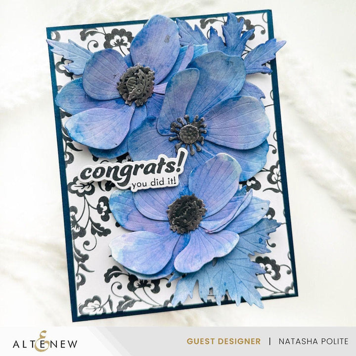 Celebration Sentiments