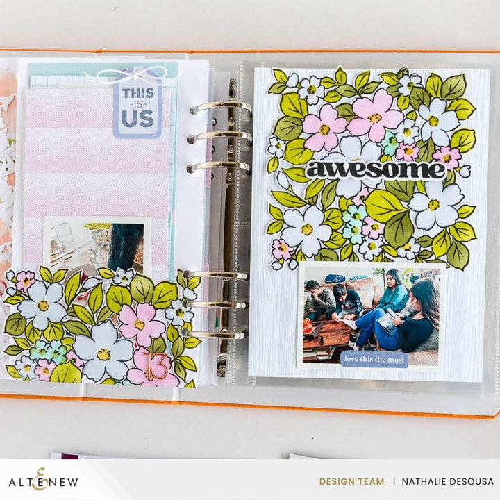Versatile Greetings 3 Comfort Edition