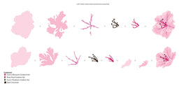 Part A-Glitz Art Craft Co.,LTD Dies Craft-A-Flower: Sunburst Azalea Layering Die Set