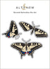 Part A-Glitz Art Craft Co.,LTD Dies Dovetail Butterflies Die Set