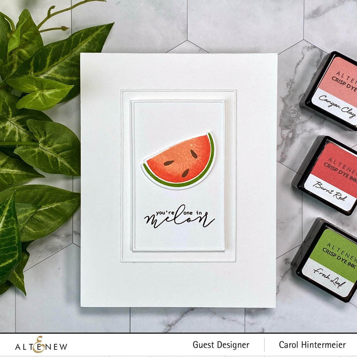 Altenew Mini Delight Mini Delight: One in a Melon Stamp & Die Set