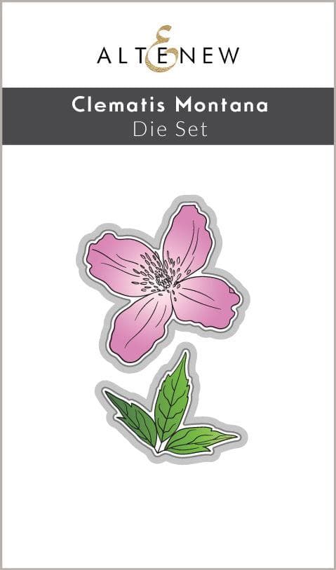 Clematis Montana