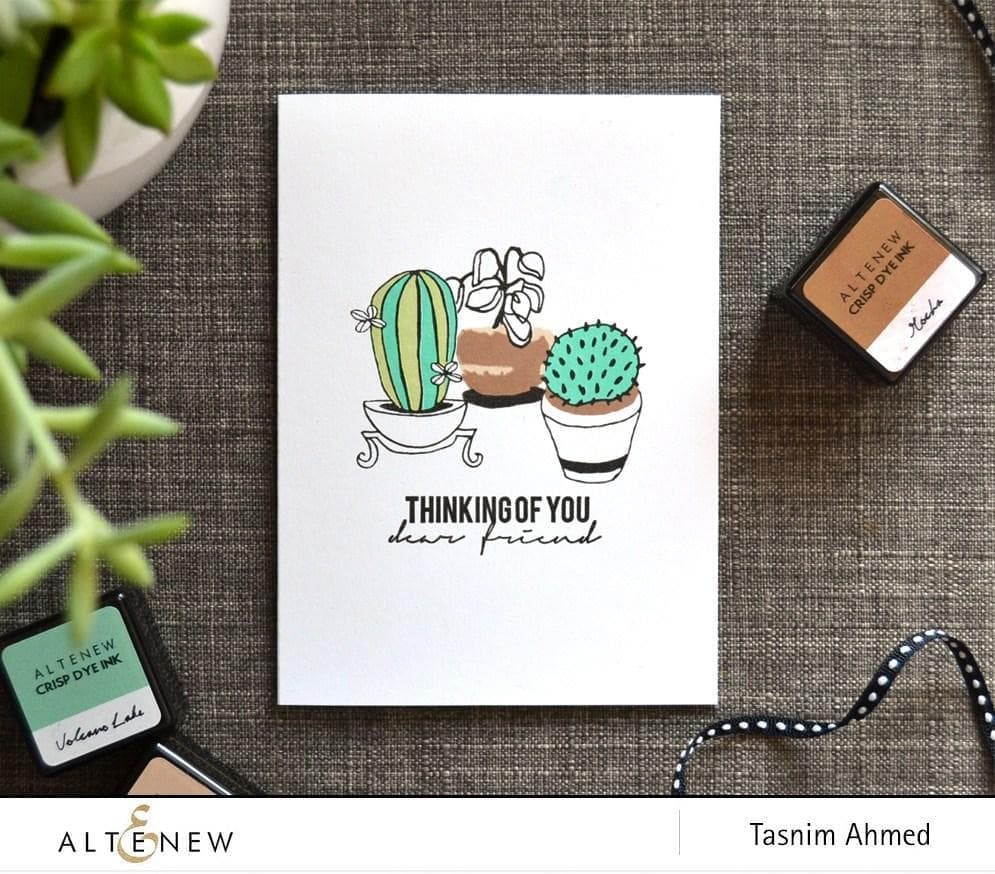 Altenew Stamp & Die Bundle Indoor Garden Stamp & Die Bundle