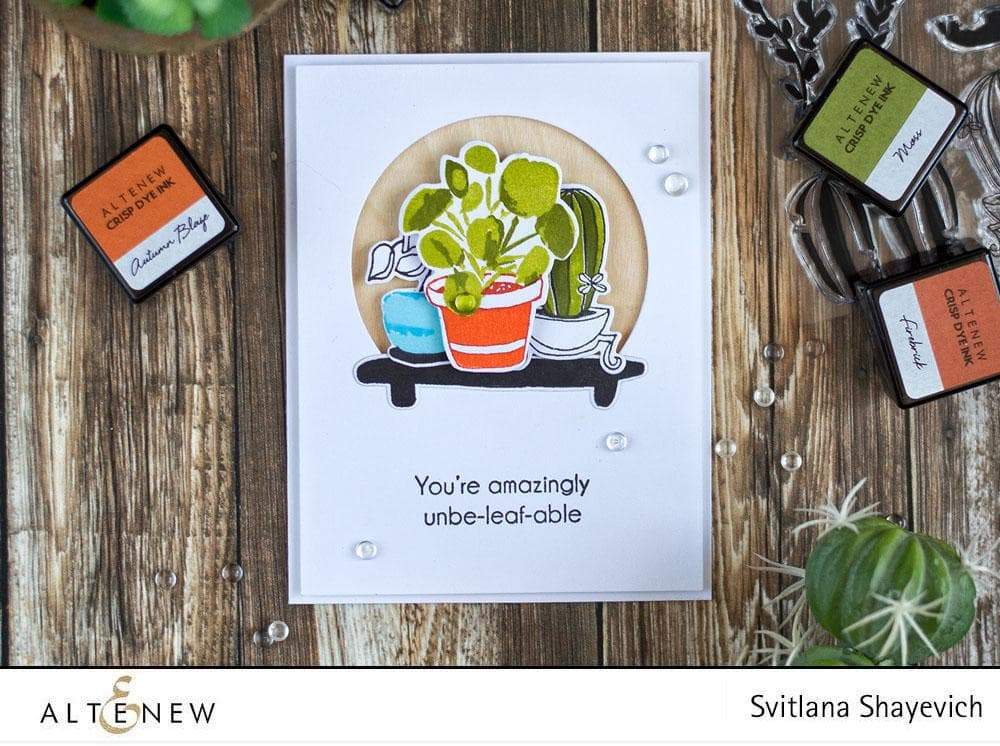 Altenew Stamp & Die Bundle Indoor Garden Stamp & Die Bundle