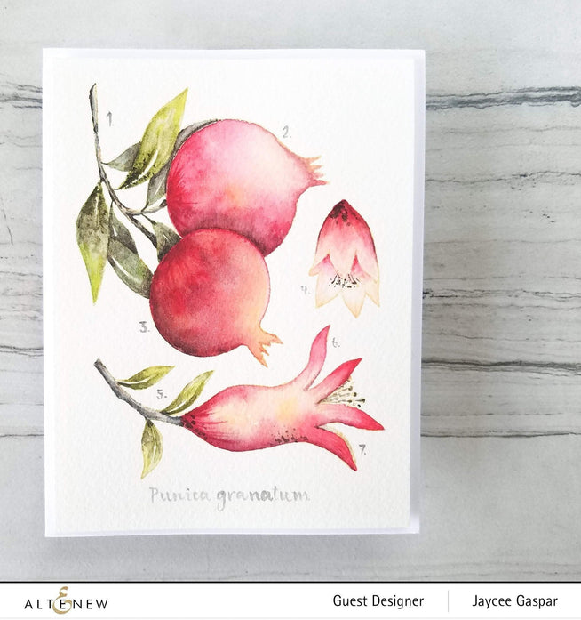 Altenew Stamp & Die Bundle Happy Pomegranates Stamp & Die Bundle