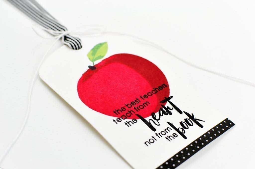 Altenew Stamp & Die Bundle Z - Teachers Rule Stamp & Die Bundle