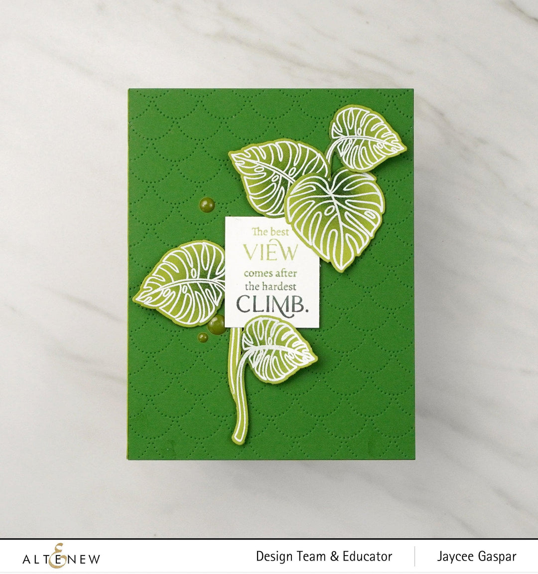 Altenew Stamp & Die & Stencil Bundle Monsteras and Quotes Stamp & Die & Stencil Bundle