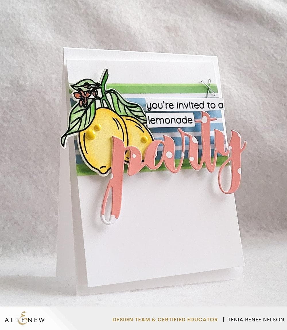Altenew Stamp & Die & Stencil Bundle Zesty Life