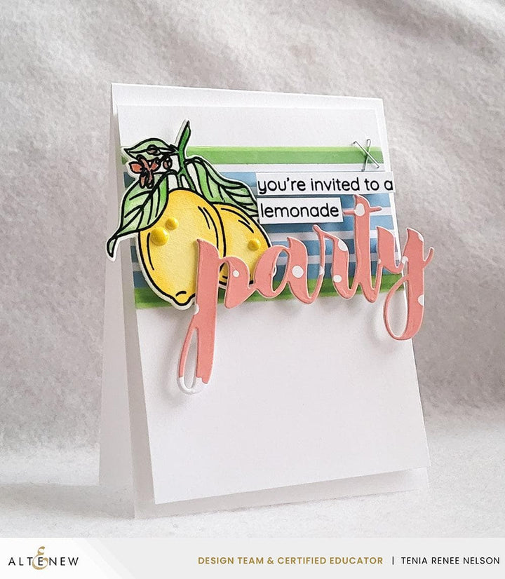 Altenew Stamp & Die & Stencil Bundle Zesty Life
