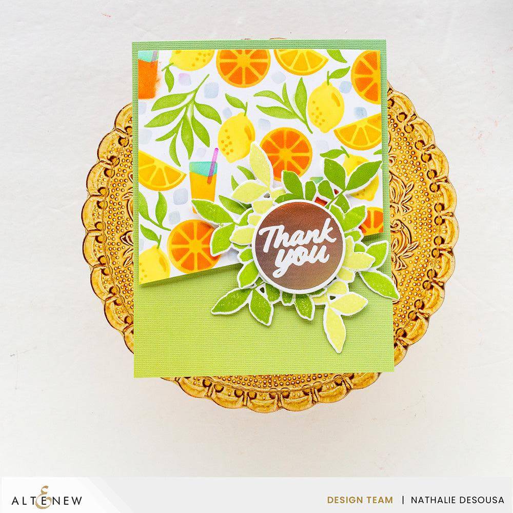 EXP Factors Stencil Citrus Fruits Pattern Layering Stencil Set (4 in 1)