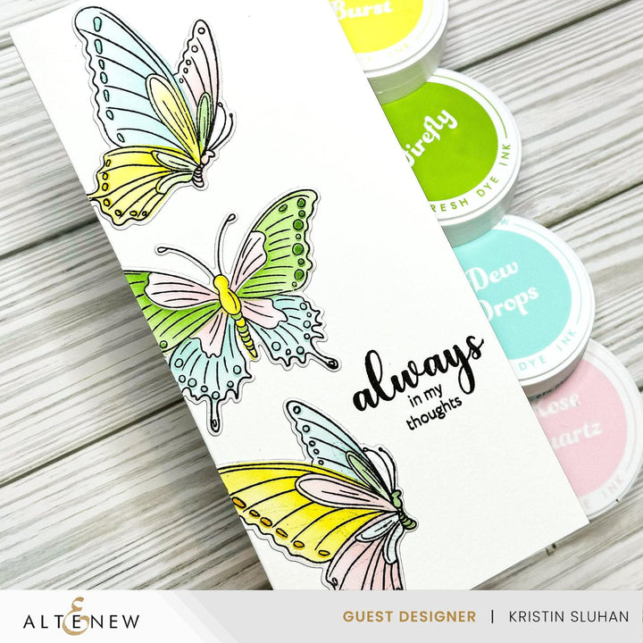 Flutter & Bloom