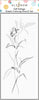 EXP Factors Stencil Tall Foliage Simple Coloring Stencil Set