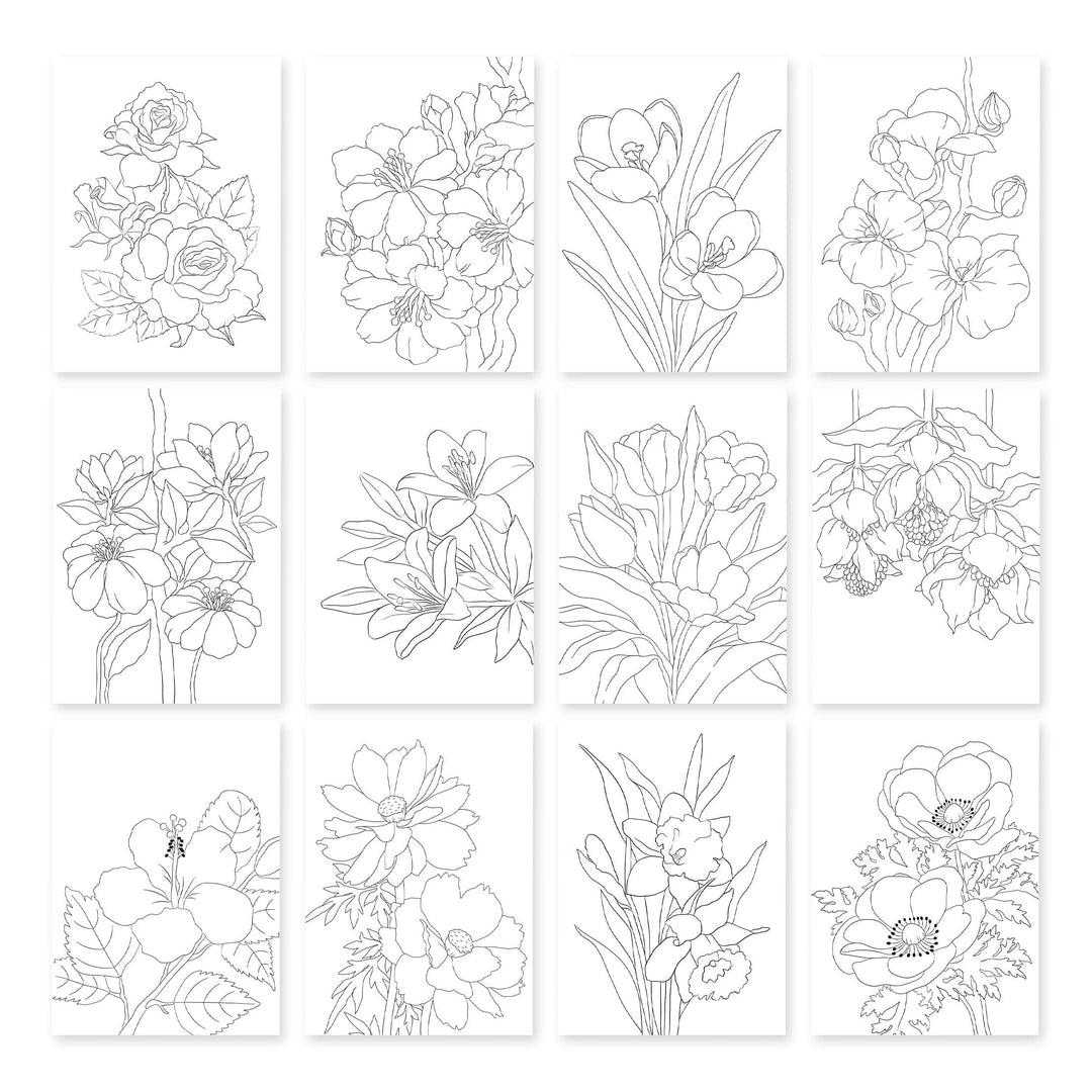 Nature’s Palette Watercolor & Coloring Book Set