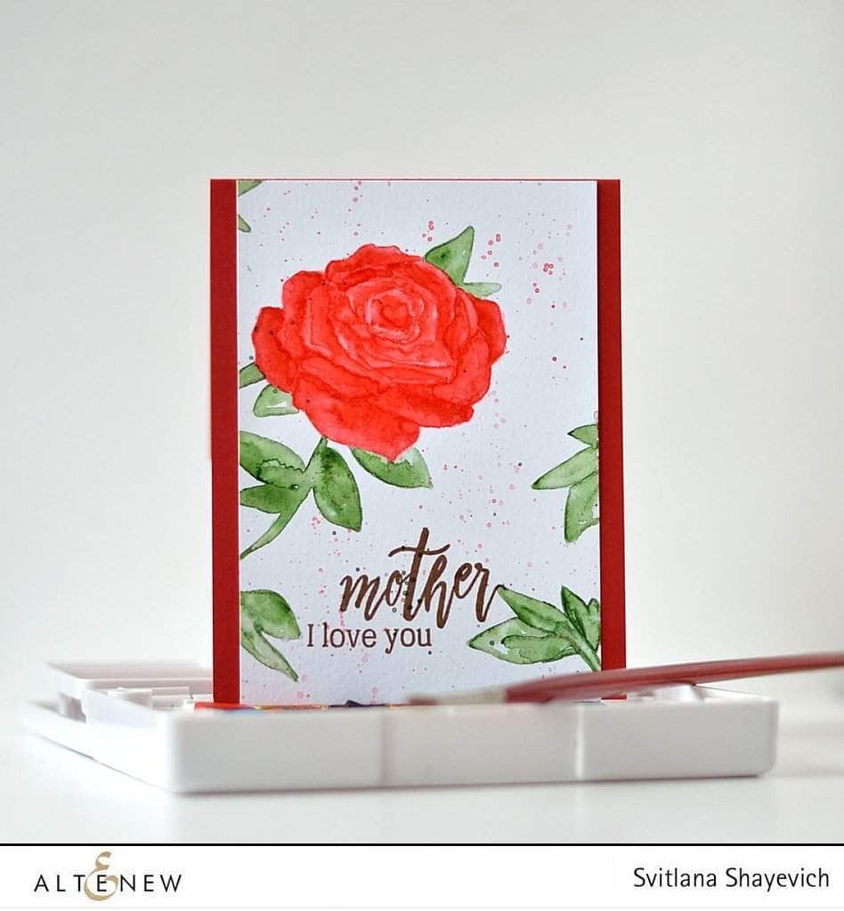 Photocentric Clear Stamps Penned Rose Stamp Set